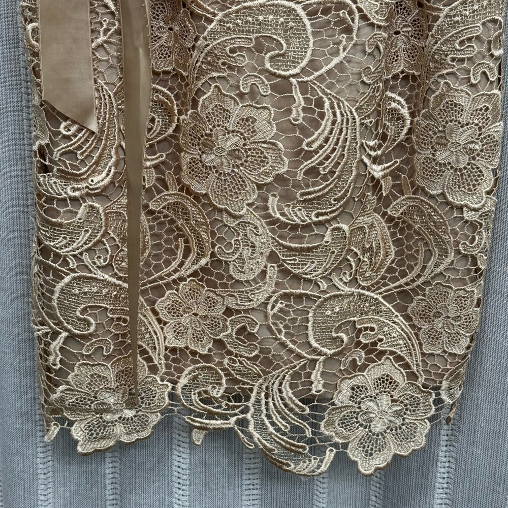 Adrianna Papell Strapless Embroidered Lace Cocktail Dress Gold Beige Size‎ 6 EUC - Picture 6 of 15